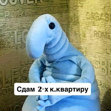 Долгосрочная аренда 2- х к. квартиры на Королева 45/1, за рынком Южный