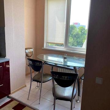 Довгострокова оренда 1к Квартира вулиця Шнеєрсона Менахем-Мендл(Мініна