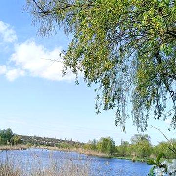 Дача Сура 15 км от Тополя 3500$