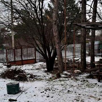 Дачний маленький будиночок з чистою земельною ділянкою