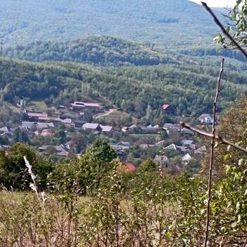 Продамо будинок та 25 соток Голубине на пагорбі