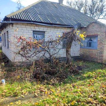 Продаж будинку  Чигирин  , Галаганівка