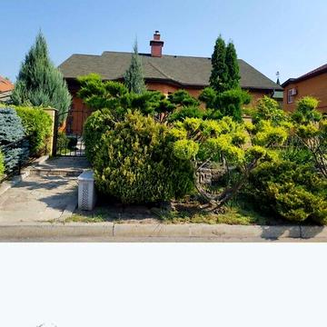 Довгострокова оренда 2к Дім Центральна вулиця