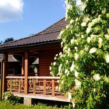 Котедж у Шешорах