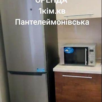 Сдам 1к Пантелемоновская/ Александровский проспект