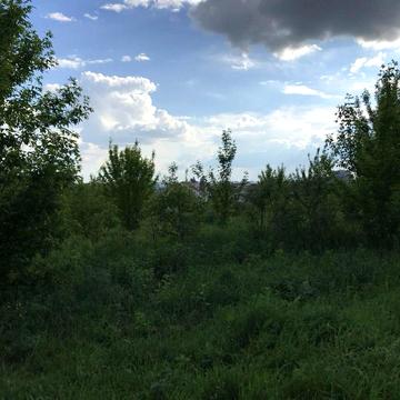 Лісові Гринівці, Хмельницький, Хмельницька область 4000.0 USD