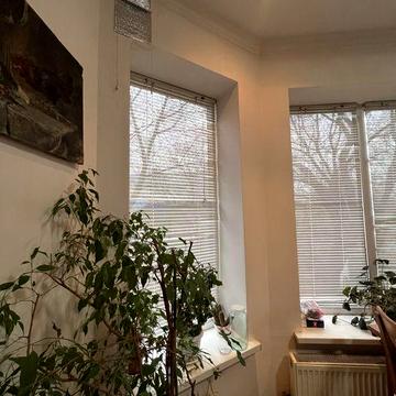 Будинок поруч з озером ( є вихід до берега)