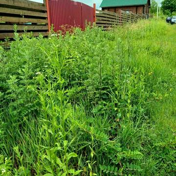 Гута, Ужгородський, Закарпатська область 9000.0 USD