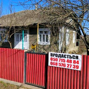 Господарство у селі Новоселиця.