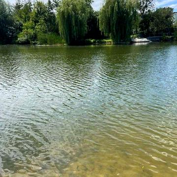 Продаж будинку на Русанівських садах