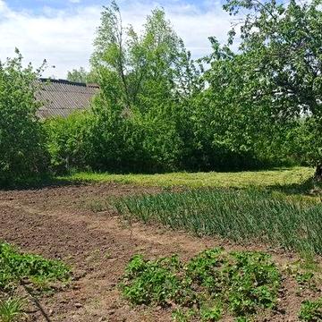 Продам будинок с. Козятин