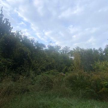 Продам дачу в городе