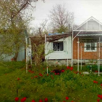 Бюджетна дача для літнього відпочинку