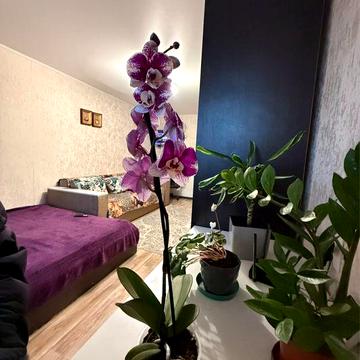 Продам 1к кв Польова