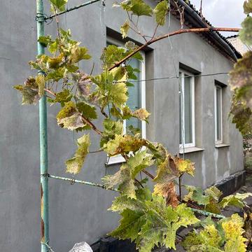 Оренда будинку на Ластівці