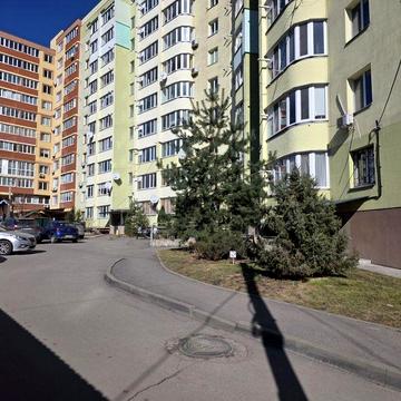 Здам в оренду  1 кімнатну квартиру.  Автономне опалення.