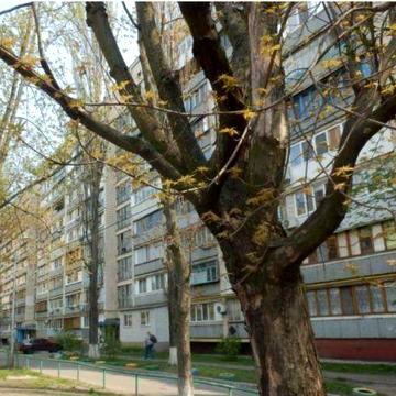 Здам 2-кімн метро Мінська,Героїв Дніпра Дмитра Павличка (Рокосовс