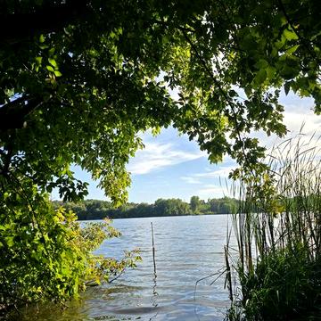 Продаж дачі (хата/будинок) на 25 сотках. Власний вихід до річки