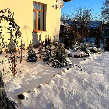 Будинок Ружичанка