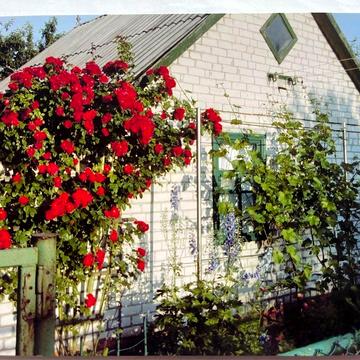 Дача в садовому товаристві «Металург»