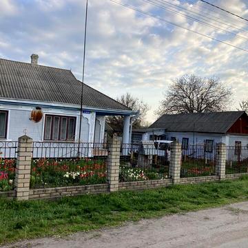 Продам   великий  будинок  81м*   в  с. Помічна   Кіровоградська  обл