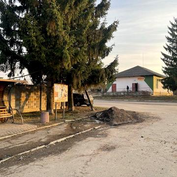 Продам Будинок 90 м2  Центр Дядьковичі 40 сот землі