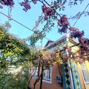 Затишний будинок на Херс.шосе