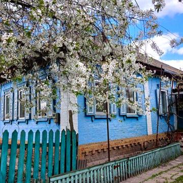 Будинок в с. Заводське, 6 км від Конотопу