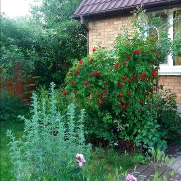 Продам чудову Дачу.