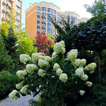 Купити  3к квартиру ‼️ ЖК Софія Резиденс Софіївська Борщагівка София ЖК Софія Резиденс