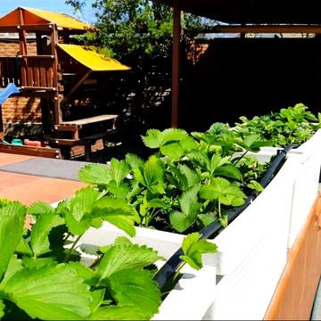 Здам в оренду котедж у приватному селищі "Біла Квітка"