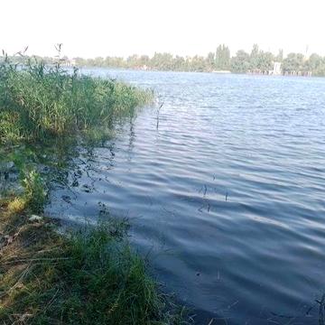 Продам дачу бiля води за Власiвкою