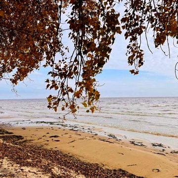 Продаж будинку на березі Київського моря, Козаровичи без %