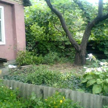 Дачний будинок в місті Камянське