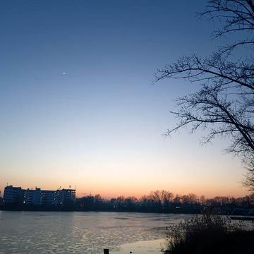 Актуально ! 1 кімнатна  Ревуцького 11 А(Озеро Сонячне)