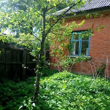 Продам будинок в селі Кривенкове