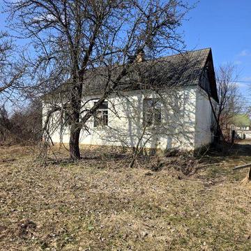 Продам будинок  с.Садки