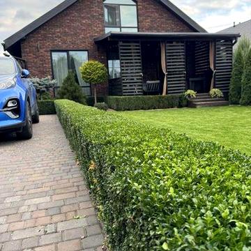 Продаж ідеального будинку (дуплекс) з ремонтом та меблями