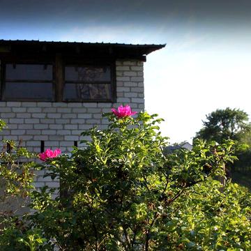 Аренда дома только гражданским в Высоком