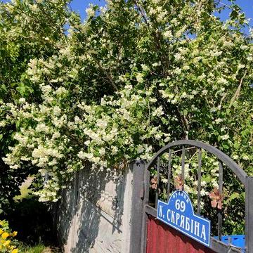 Продаж будинку в Скибині