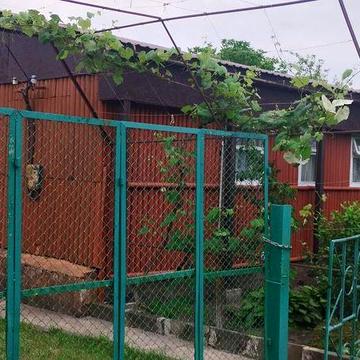 Дача Камяна Гора