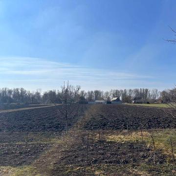 Продається будинок в селі Берестівка