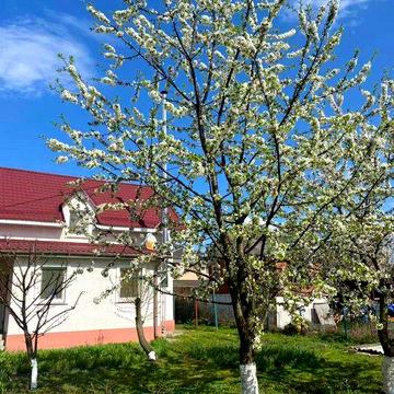 Будинок автономний (світло, вода, дрова) Київ біля озера