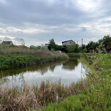 Сдам дом дача