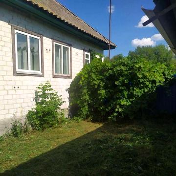 Продам Будинок Чернігівська обл, Ніжинський р-н, с Данина, Лосинівка