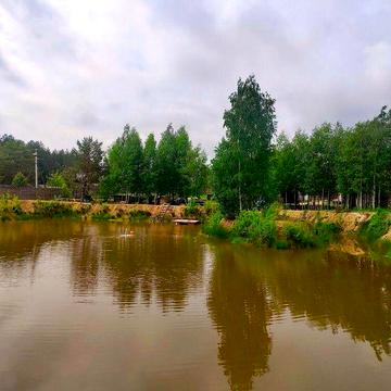 Ясногородка, Вишгородський, Київська область 96000.0 USD