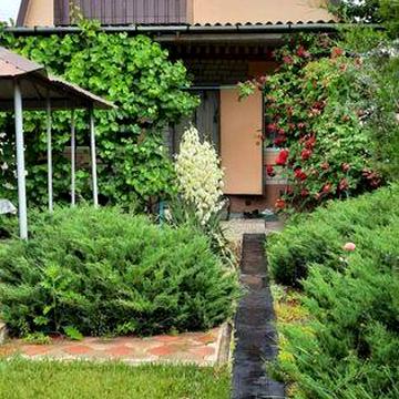 Уютная дача у реки, Подгородное