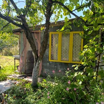 Чудова доглянута дача. Пролетарський гай. 10 сотих землі.