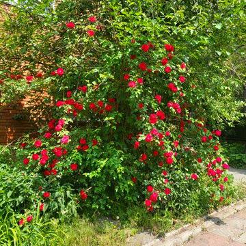 Добротный Двухэтажный Дом Район Алексеевки Возможен Обмен