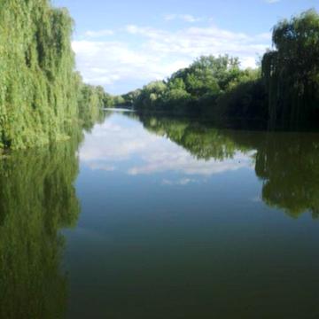 Будинок Дача  гараж поруч  ставок ліс